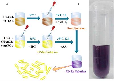 Gold Nanorods as Saturable Absorber for Harmonic Soliton Molecules Generation